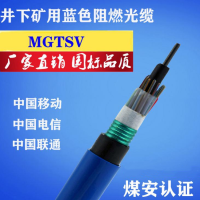 矿用测温光缆MGTSV-2A  煤矿用阻燃测温光缆