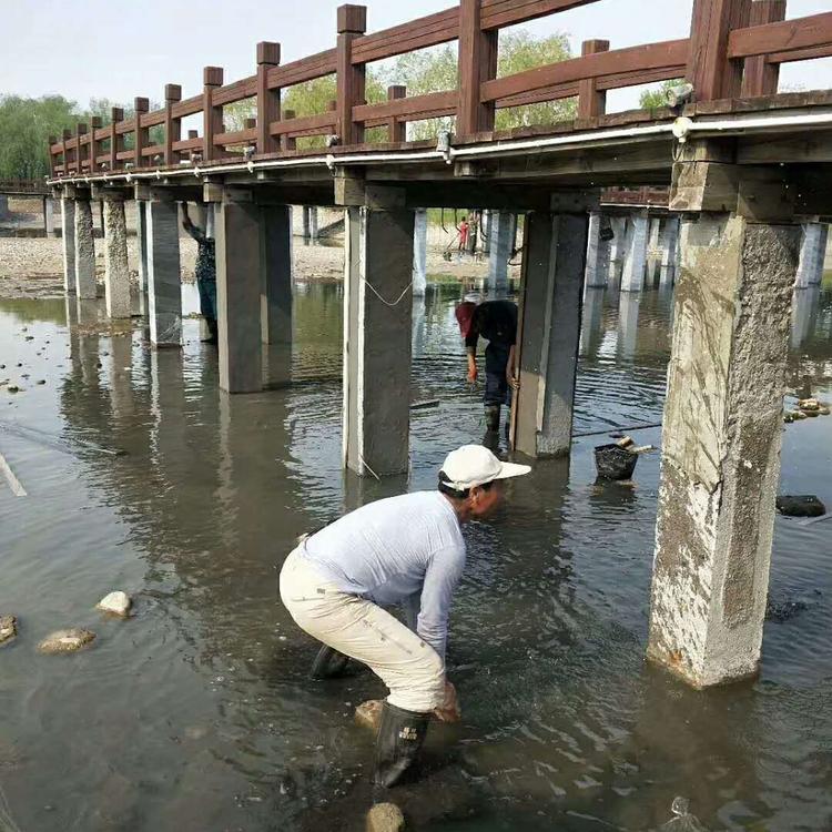 砂浆图片1