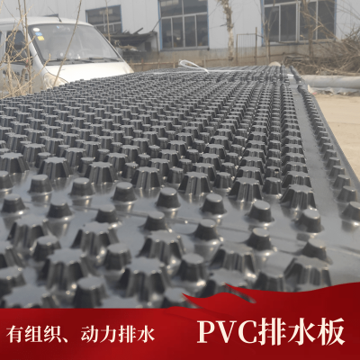 塑料防护排水板 防排水板 排水板厂家