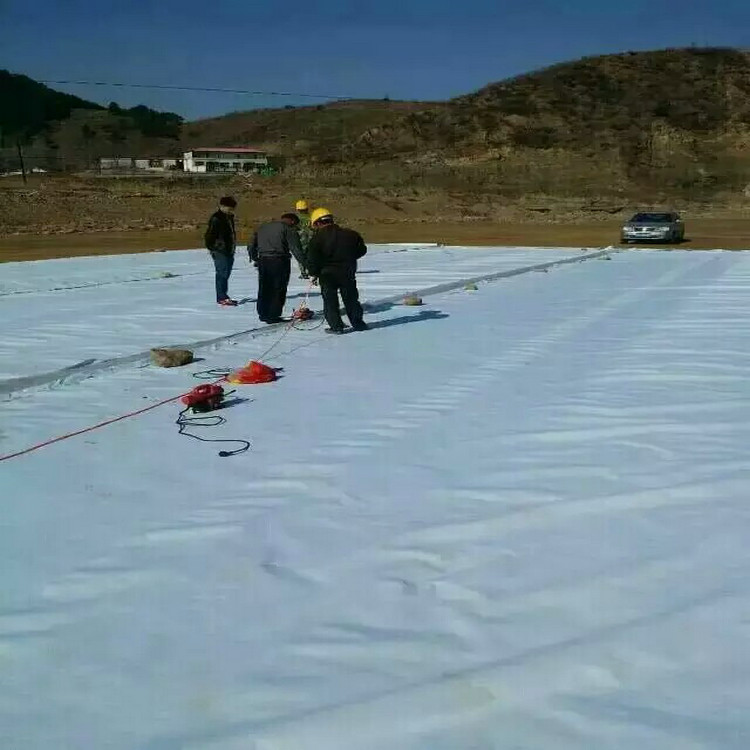 金矿尾矿库土工膜2.0mm防渗土工膜衬层