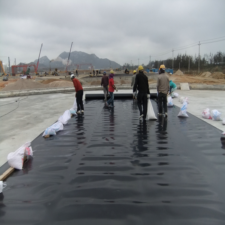 饮用水池HDPE土工膜 沼液池防渗膜防渗土工膜