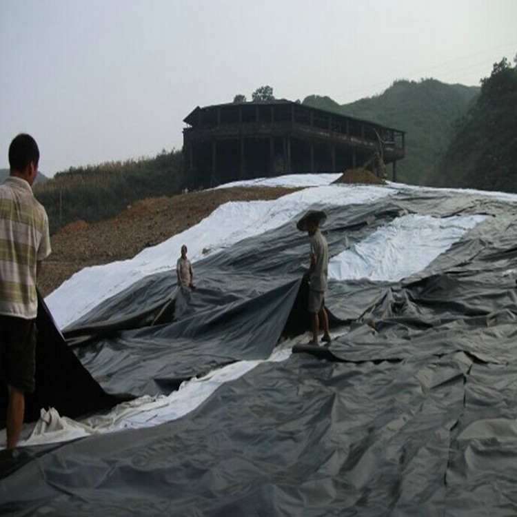 土工膜焊接机 膨润土防水毯价格LLDPE土工膜