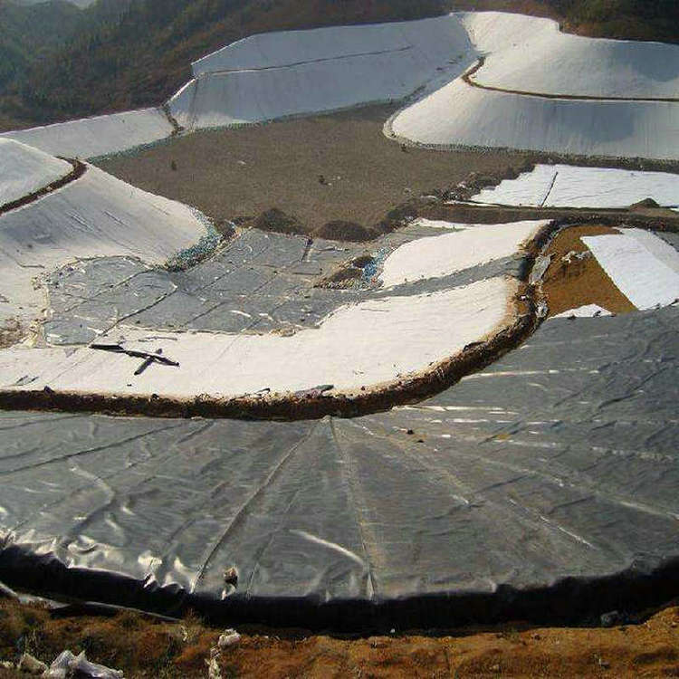 高位虾池土工膜精选厂家