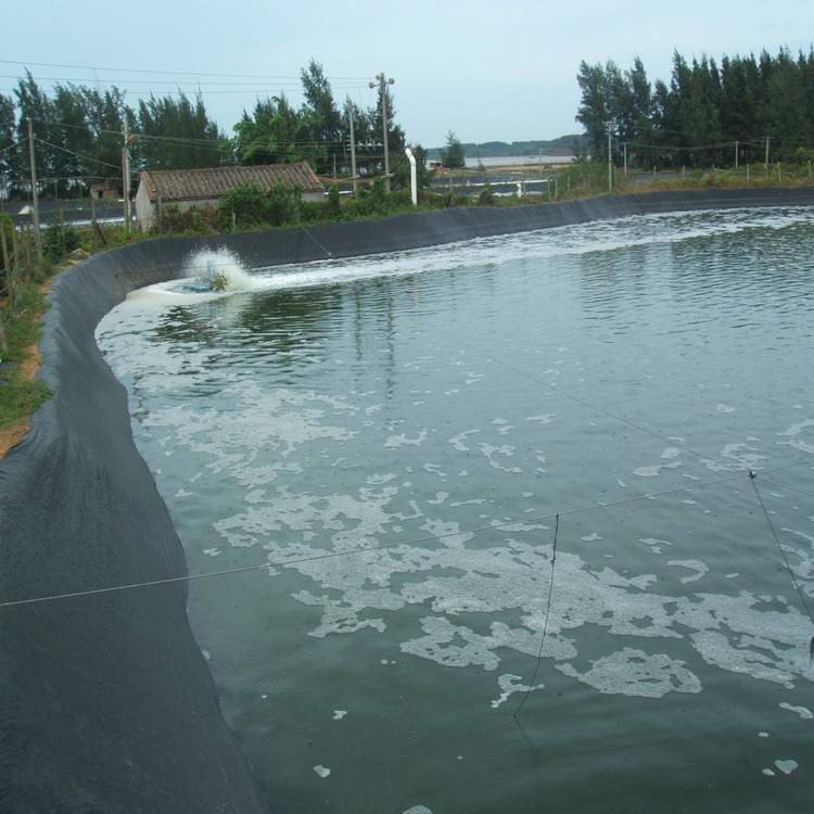 高尔夫球蓄水池HDPE土工膜 0.40mmHDPE土工膜经久耐用