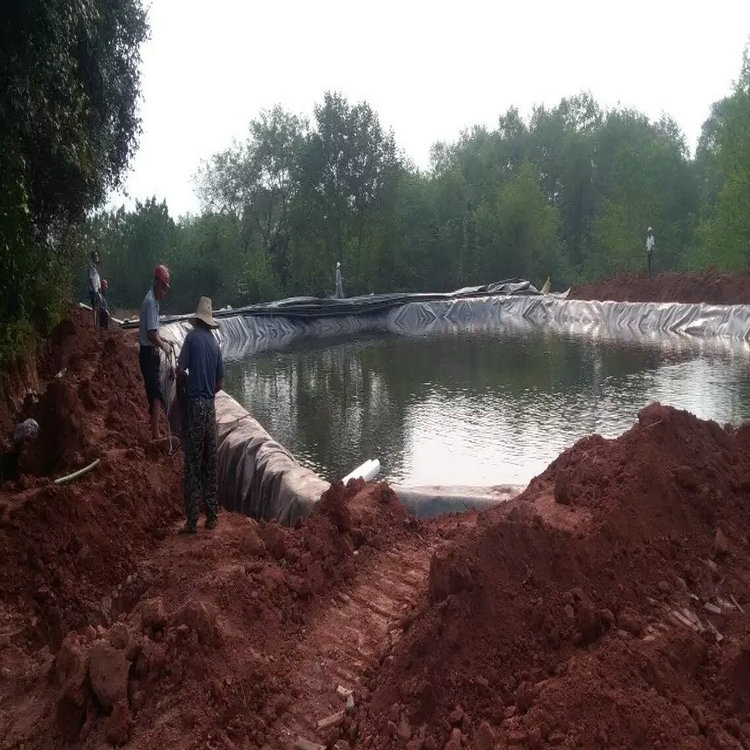 养牛场2mm沼液池土工膜厂家批发