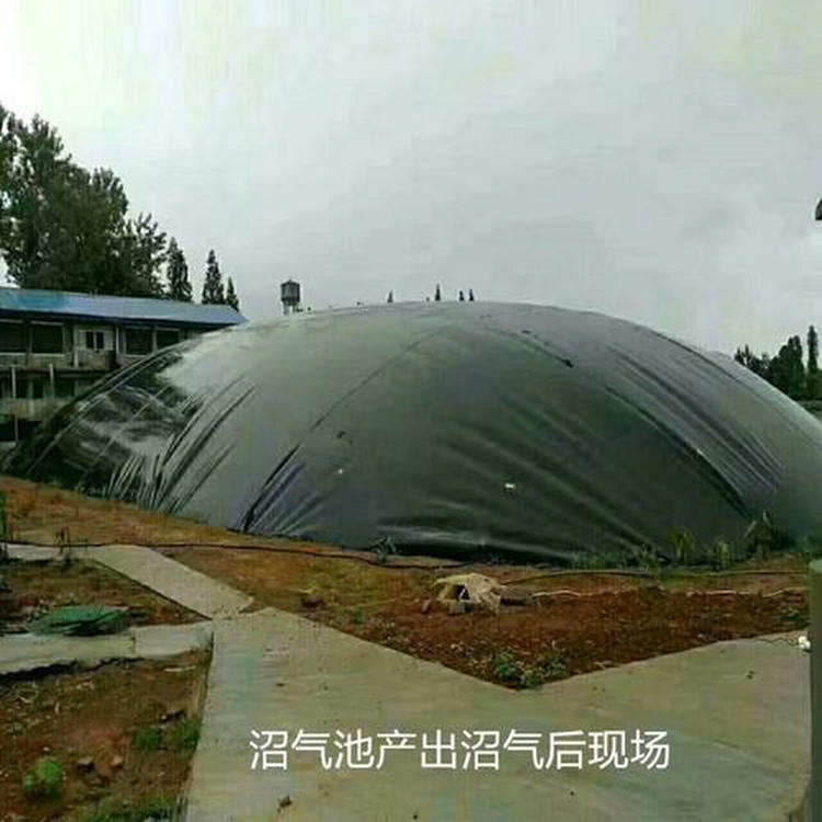 工业废水蓄水池土工膜可量尺定做