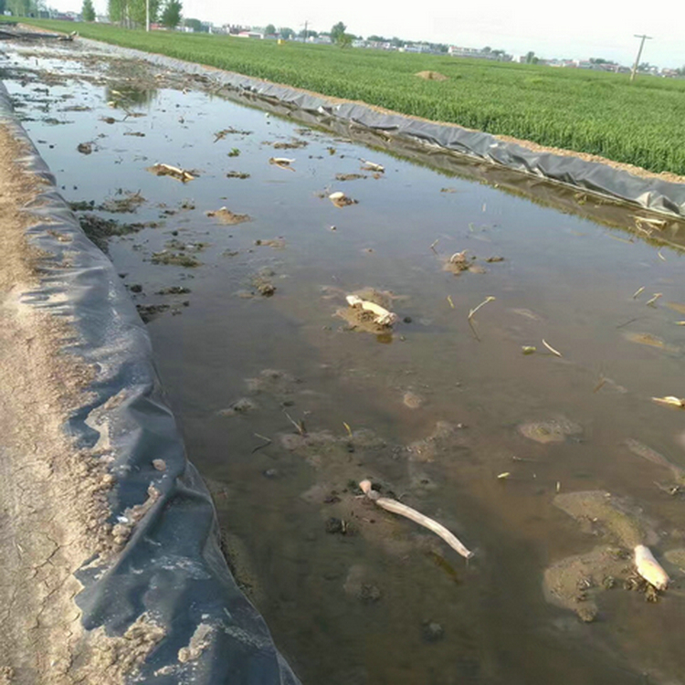 北京耐老化1.0cm排水板 什么是防渗膜 氧化塘防渗土工膜