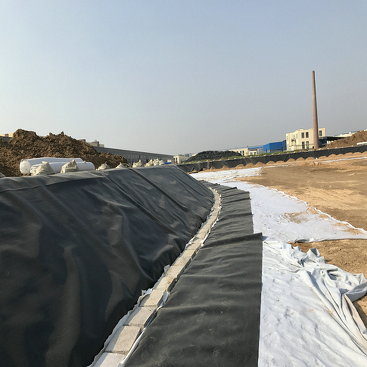 养猪场2mm沼液池土工膜 水产养殖膜 雪莲种植防渗膜