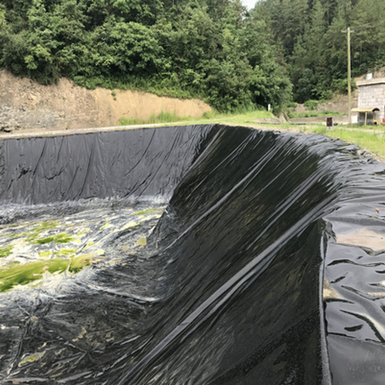 牟平养牛场1.0mm氧化塘土工膜 土工布生产厂家