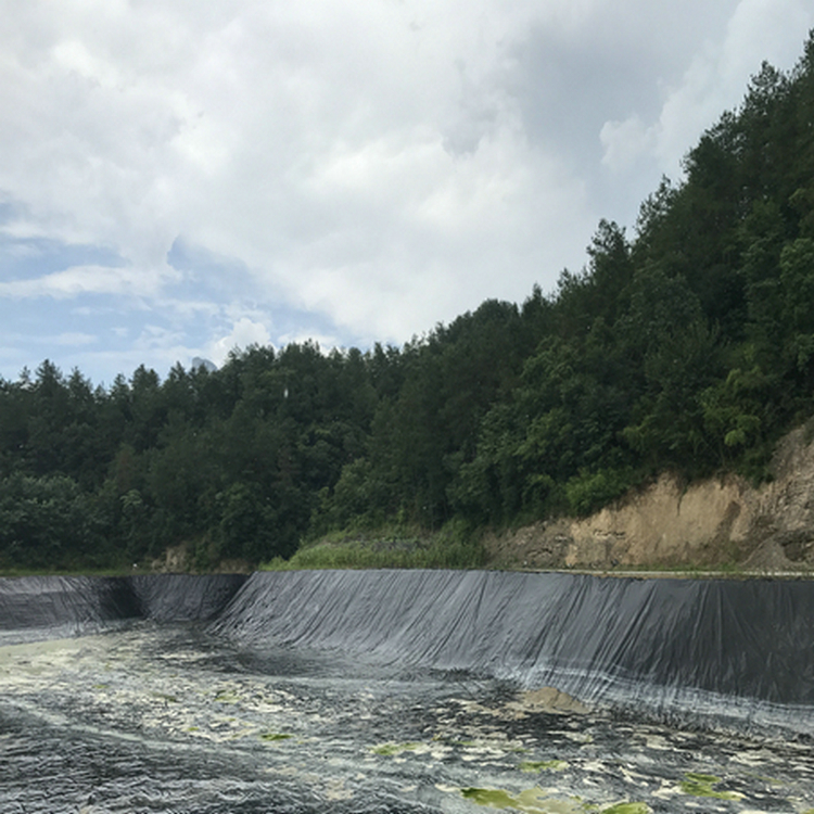 1.2mm渗滤液调节池顶膜覆盖土工膜