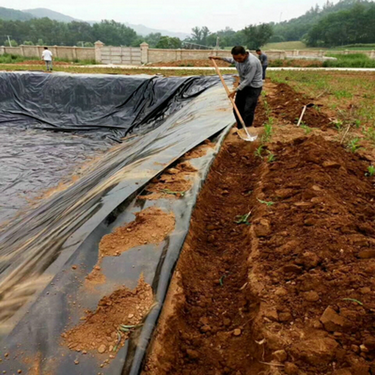 煤化工渣场防渗1.5mm土工膜货源充足