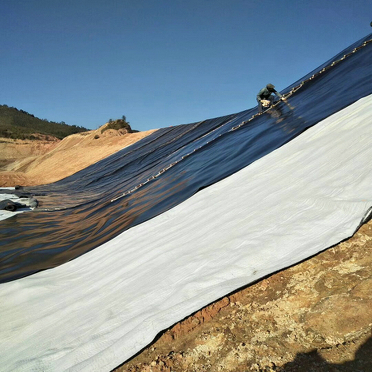 防渗膜鱼池 缠绕膜价格防渗土工膜