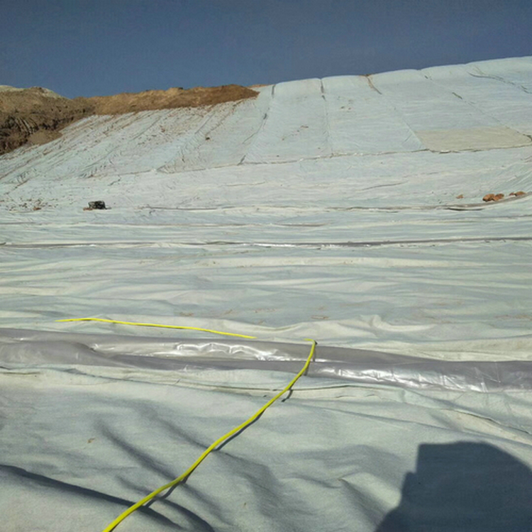 养牛场1.5mm沼液池防渗膜 1.5mmHDPE土工膜沼液池防渗膜