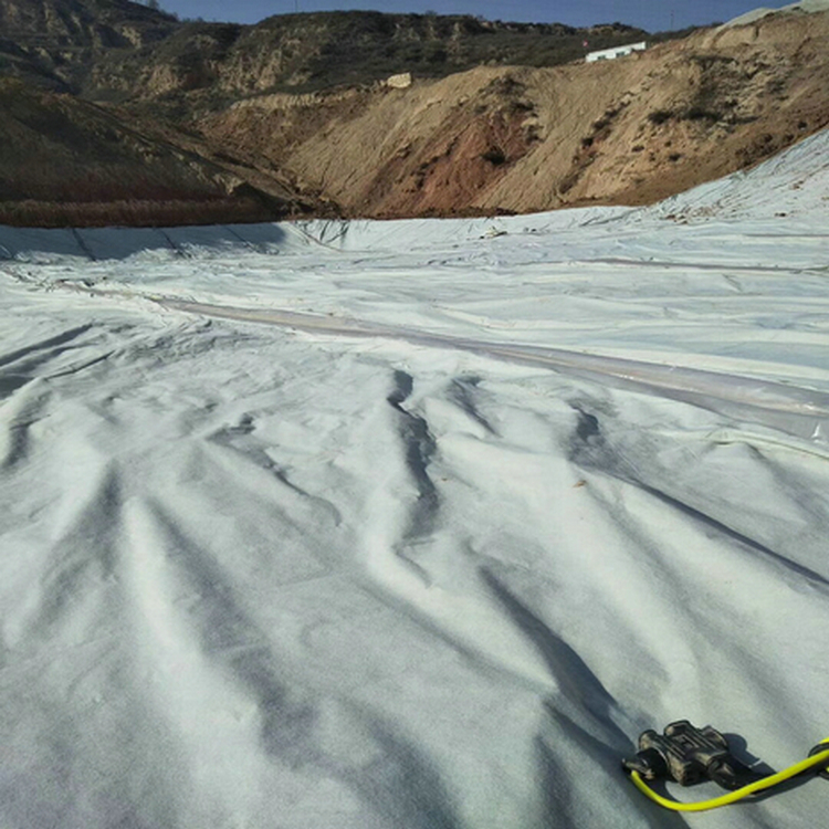 养猪场沼液池HDPE防渗土工膜 1.2mm土工膜性能稳定