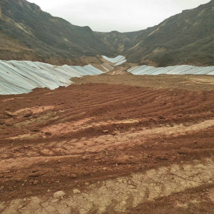 生活污水池防渗用1.5mm土工膜 0.8mm土工膜产品批发价