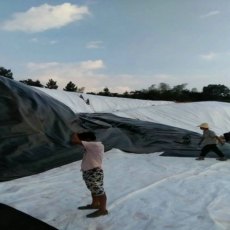 垃圾场库区土工膜 地面防潮隔离土工膜 鱼塘最宽防渗膜多宽