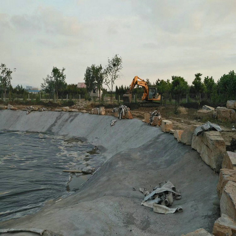 电厂原水调节池用2mmHDPE土工膜厂家批发价