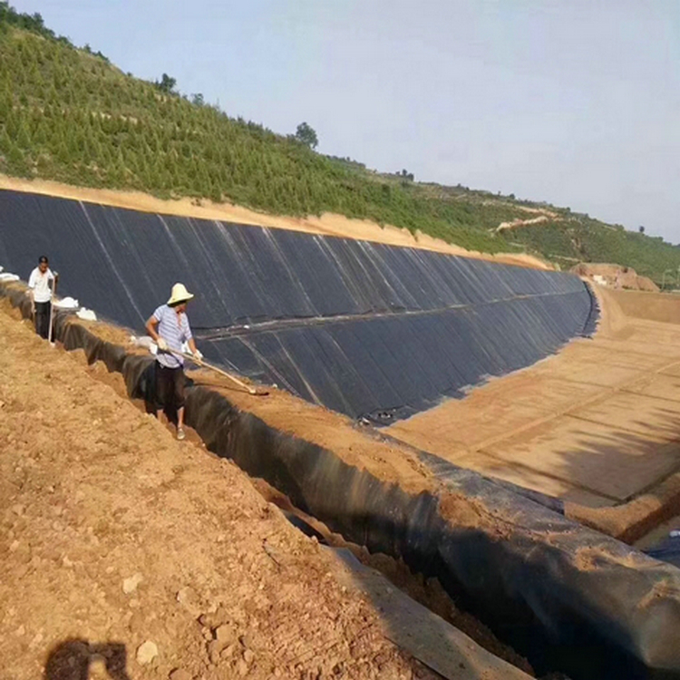 湟中养猪场1.0mm沼液池土工膜 膨润土防水毯优质商品