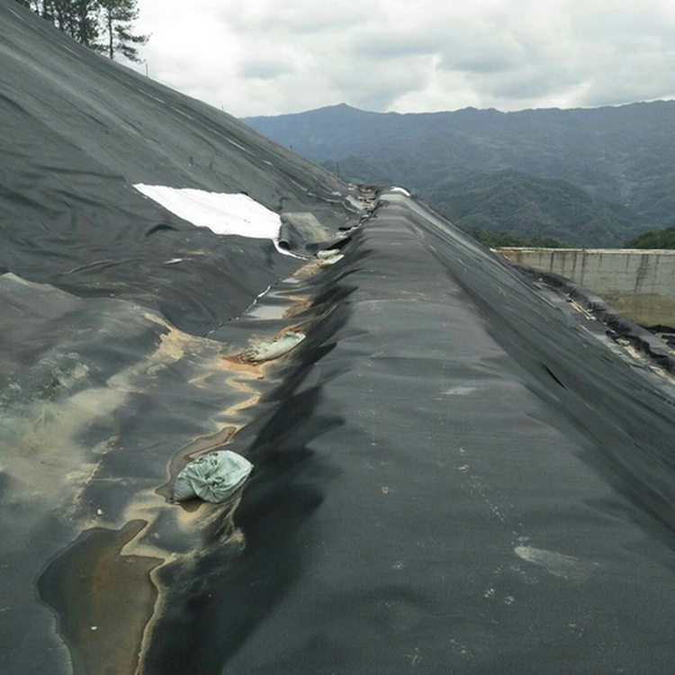 南安猪场沼气池防渗膜性能 膨润土防水毯产品批发价