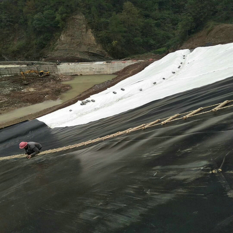 吉安双糙面HDPE土工膜施工方案 浅水藕防渗膜 沼气池专用土工膜