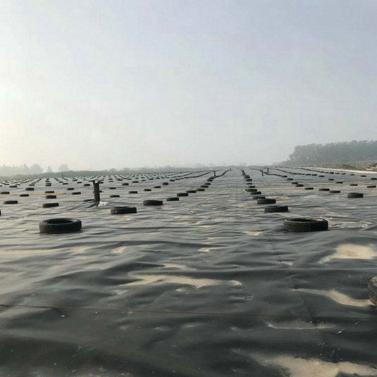 高位虾池土工膜精选厂家