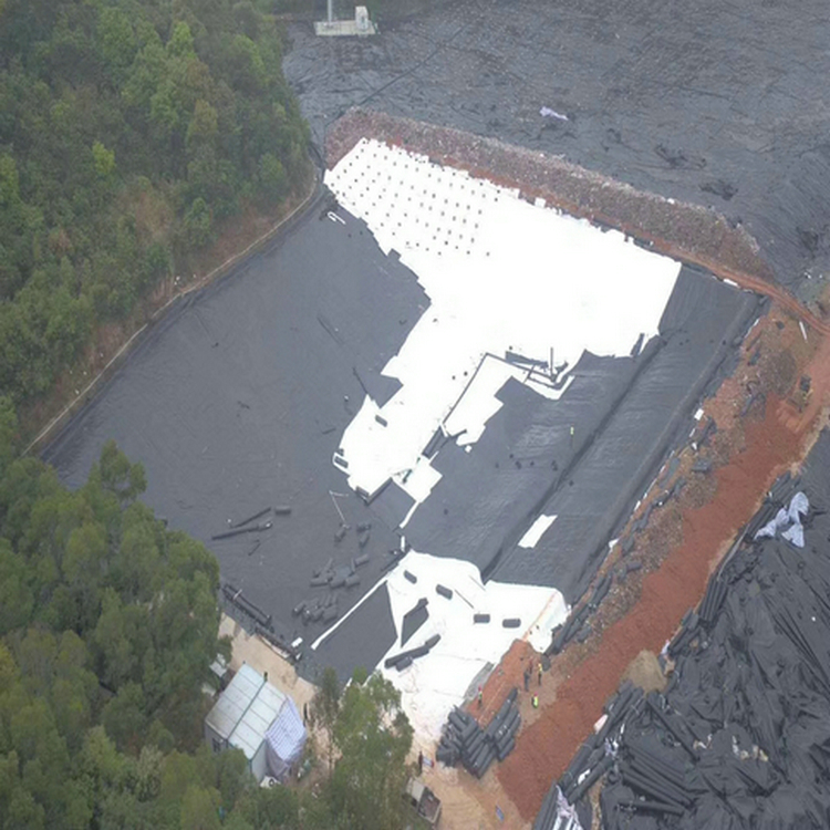 电厂原水调节池用1.0mmHDPE土工膜货源充足