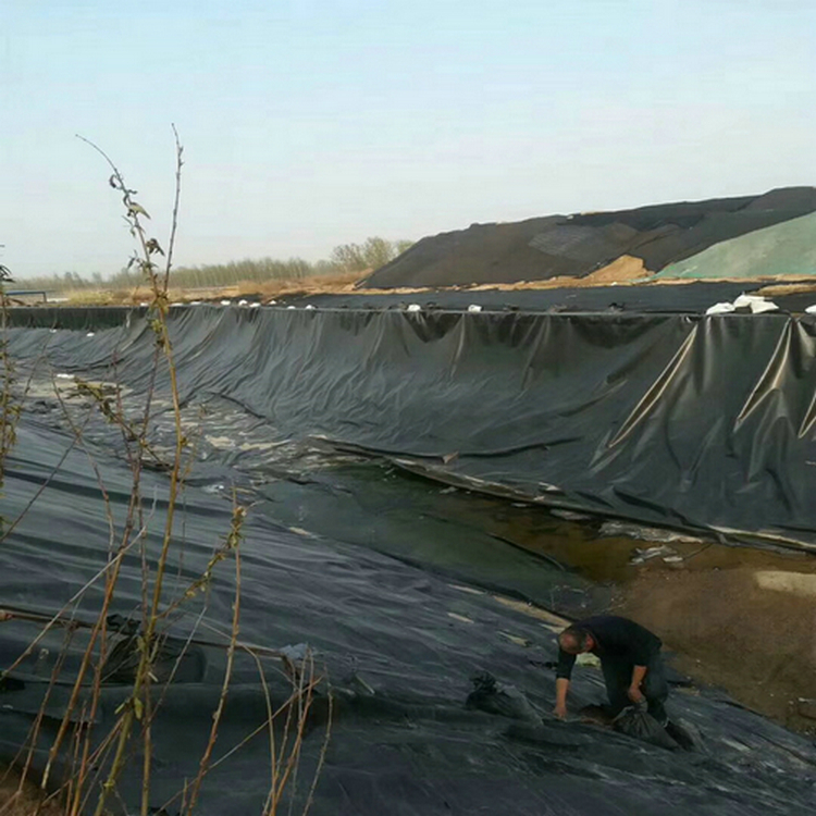 呼和浩特复合土工膜 防渗膜施工 1.0mm填埋场HDPE土工膜