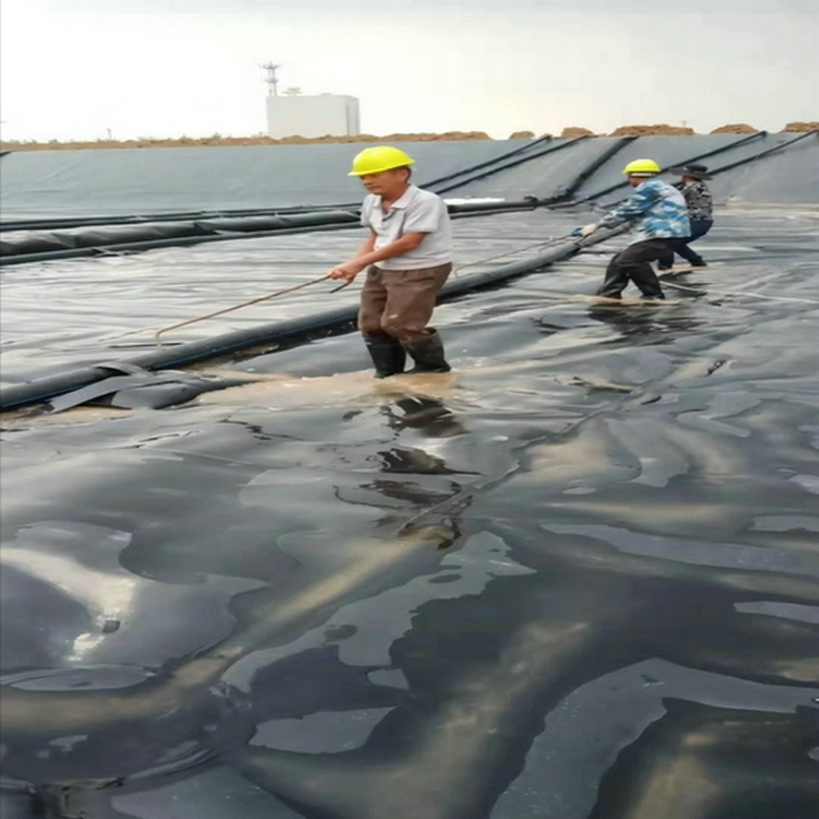 土工膜生产 土工布防水土工布