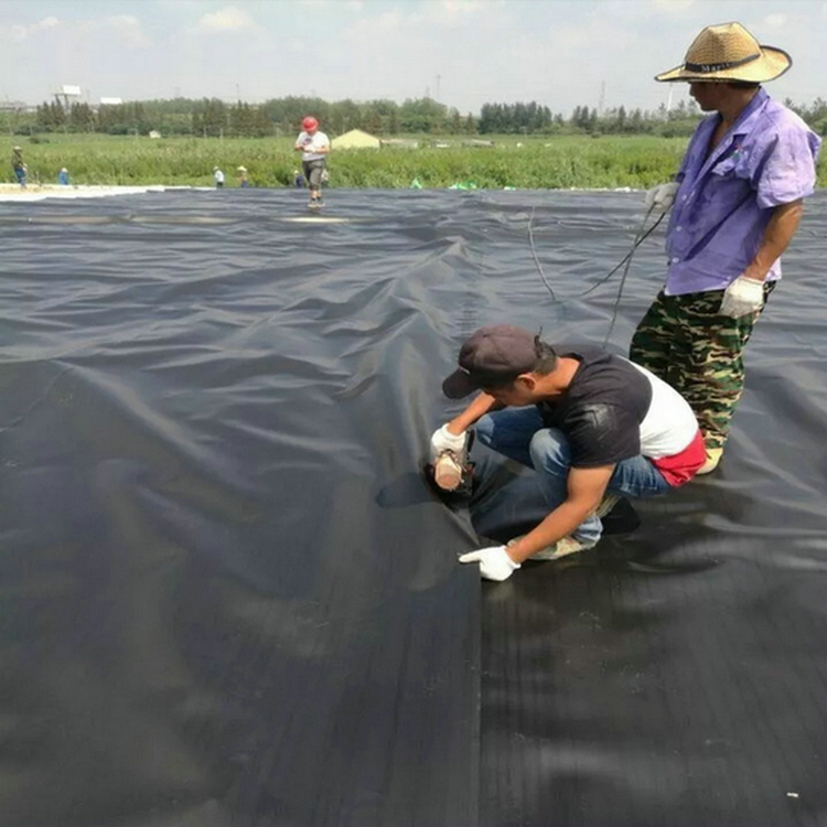 雨污分流垃圾填埋场覆盖膜专用土工膜1.5mm