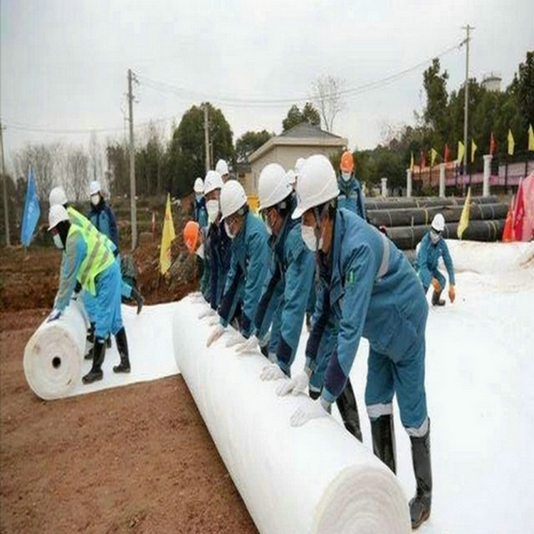 防渗膜厂家 复合防渗膜填埋场土工膜