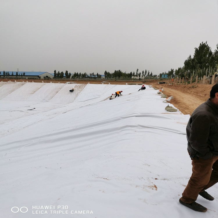 垃圾填埋场2.0mm高密度聚土工膜 0.8mm防渗膜厂家批发