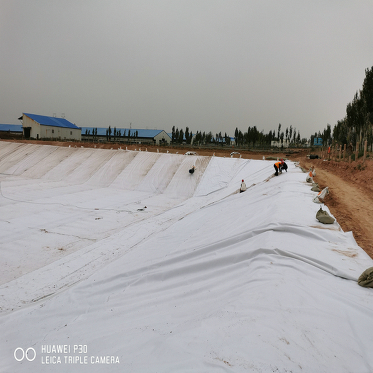 宁夏土工膜 LDPE防渗土工膜垃圾场土工膜