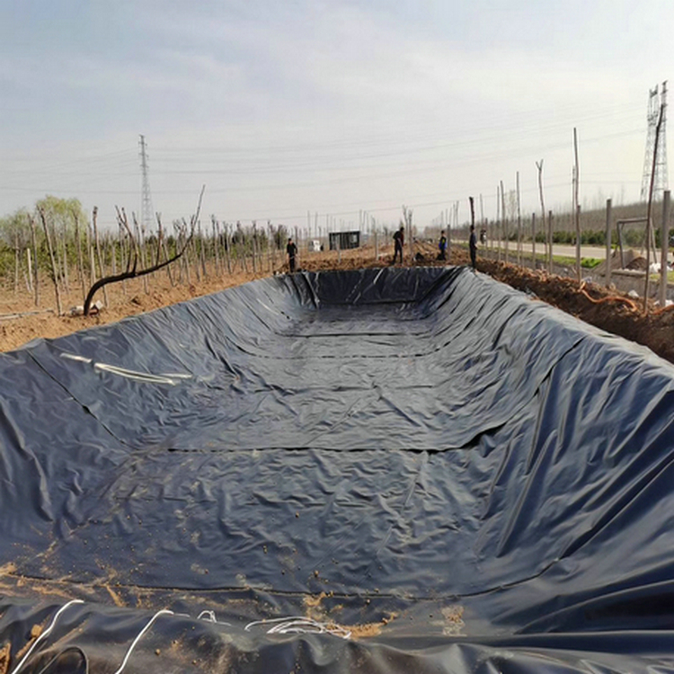 养猪场氧化塘HDPE防渗土工膜 土工膜土工膜 卤水池防渗土工膜