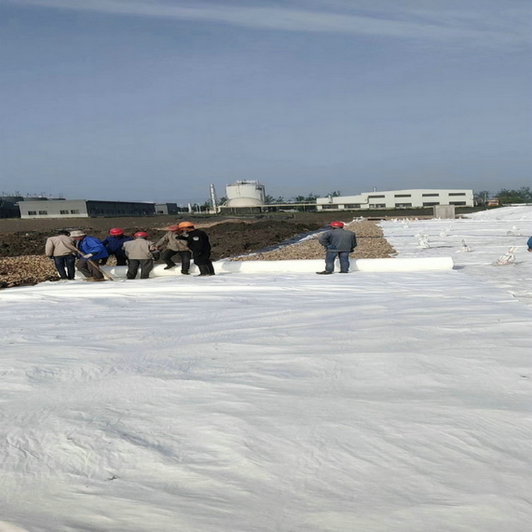 垃圾填埋场防渗结构防渗1.5mm土工膜厂家自产自销