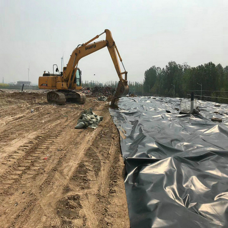 北京复合土工膜厂家 复合土工膜塑料土工网 藕池专用防渗膜土工膜