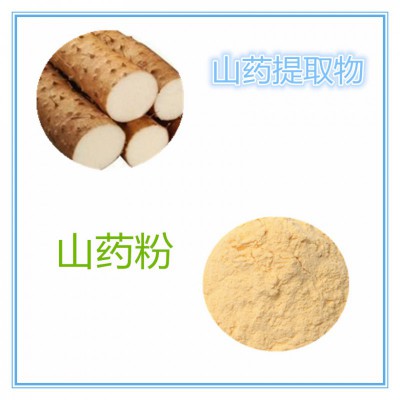 山药提取物 水提  10:1  山药粉