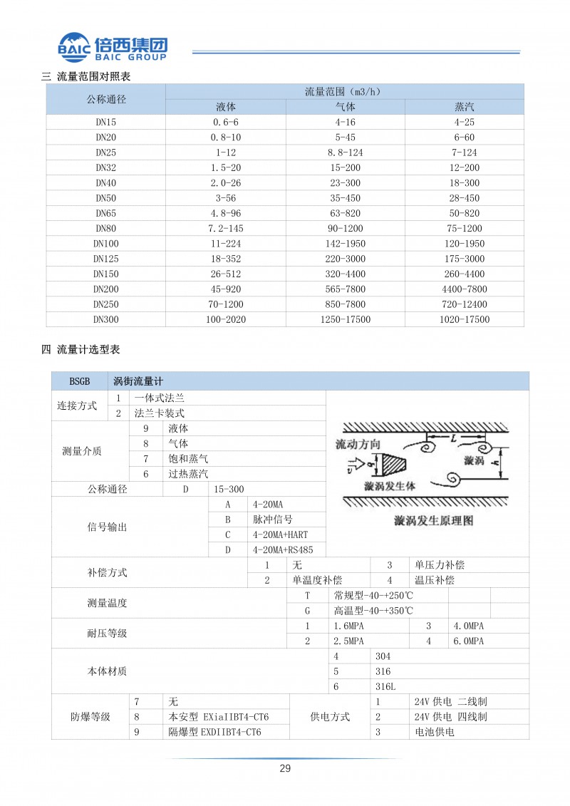 涡街流量计 (2)