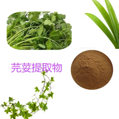 芫荽提取物  水提 10：1  芫荽粉 芫荽提取液