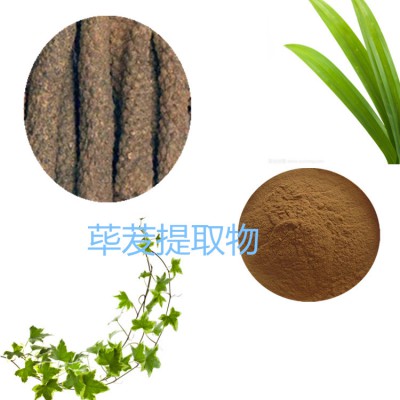 荜茇提取物  水提  10：1   荜茇粉  水溶