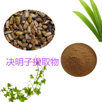 决明子提取物 水提 10:1  决明子粉 决明子浸膏