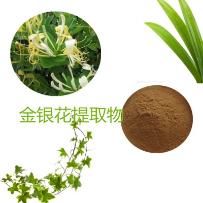 金银花提取物 水提 10：1  金银花粉 水溶