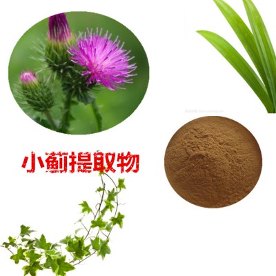 小蓟提取物 水提 10:1  小蓟粉 小蓟浸膏