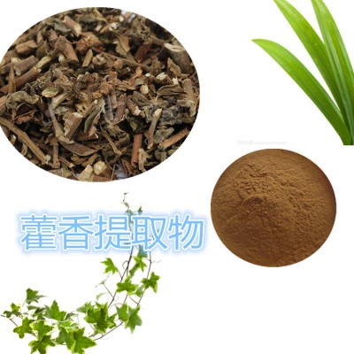 藿香提取物 水提 10:1 藿香速溶粉 藿香浸膏