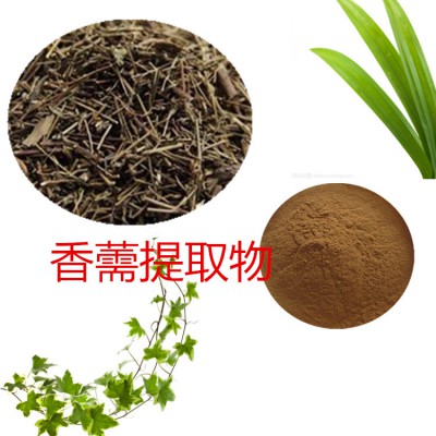 香薷提取物 水提 10:1  香薷浸膏 香薷速溶粉