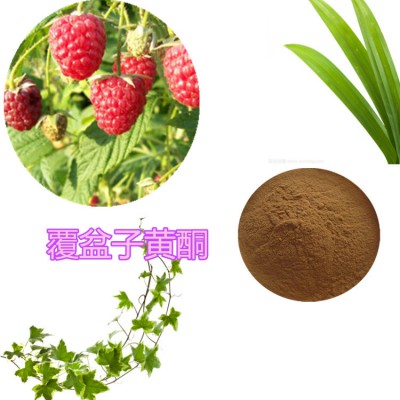 树莓/覆盆子黄酮 20%  树莓浸膏  树莓提取液