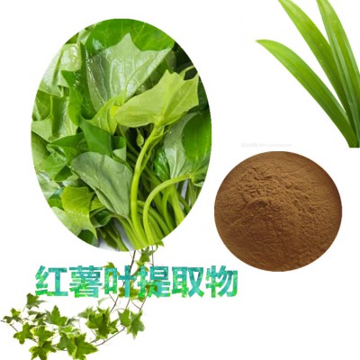 红薯叶提取物10:1 红薯叶粉 水溶 红薯叶浸膏