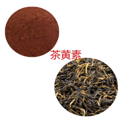 茶黄素10% 红茶提取液 10:1  多规格