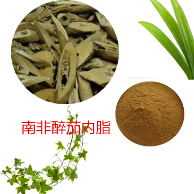 南非醉茄提取物 水提   南非醉茄内脂  南非醉茄浸膏粉