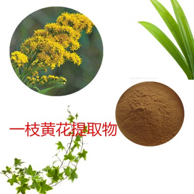 一枝黄花提取物  一枝黄花速溶粉 一枝黄花浸膏 一枝黄花粉