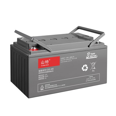 SANTAK山特城堡C12-65 UPS蓄电池12V65AH